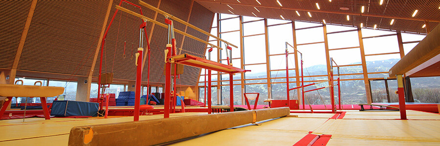 Gymnastic Foam Equipment Crash Mats